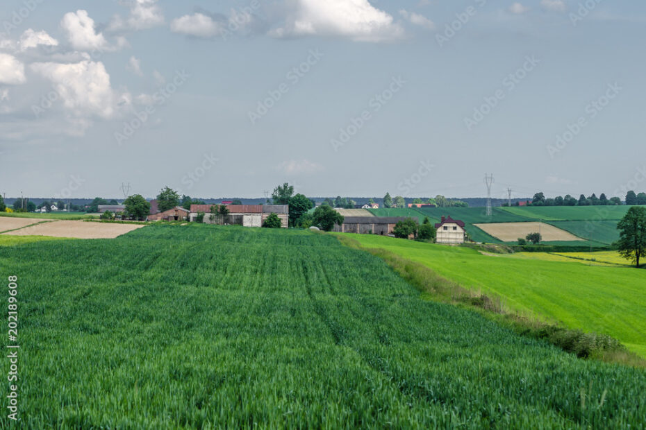 Gospodarstwo rolnicze