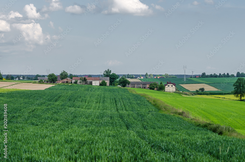 Gospodarstwo rolnicze