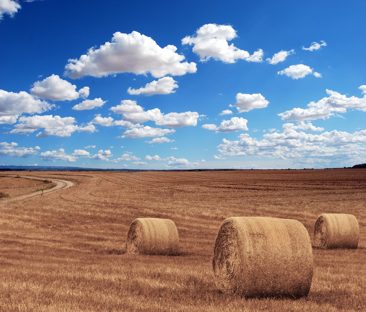 hay bales, round, farm, sky, clouds, field, harvest, hay, cultivation, tillage, straw, agriculture, summer, landscape, rural, countryside, farm, farm, farm, farm, farm, nature, harvest, agriculture